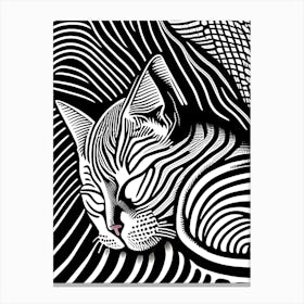 Zebra Cat Canvas Print