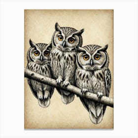 Owls On A Branch Canvas Print