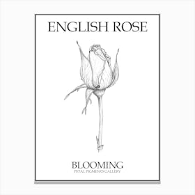 English Rose Blooming Line Drawing 4 Poster Canvas Print