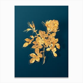 Vintage Dwarf Damask Rose Botanical in Gold on Teal Blue n.0024 Canvas Print