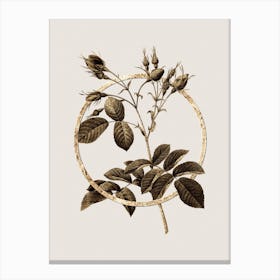 Gold Ring Evrat's Rose with Crimson Buds Glitter Botanical Illustration Canvas Print