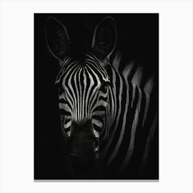 Zebra Canvas Print