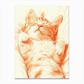 Kitty Cat 6 Canvas Print