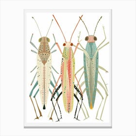 Colourful Insect Illustration Katydid 3 Canvas Print