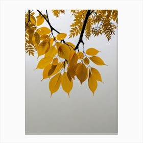 Autumn Leaves 2 Canvas Print