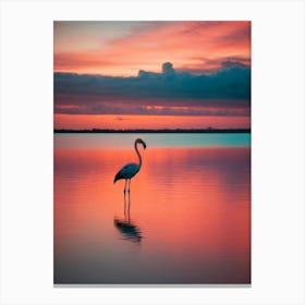 Sunset Flamingo Canvas Print