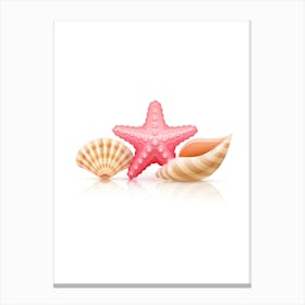 Colored seashells. Seashells. Summer. 3 Canvas Print