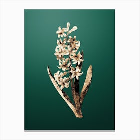 Gold Botanical Dutch Hyacinth on Dark Spring Green n.0337 Canvas Print