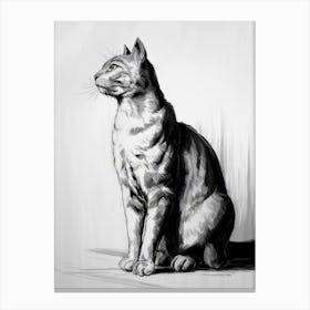 Cat Drawing Canvas Print