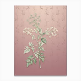 Vintage Hemlock Flowers Botanical on Dusty Pink Pattern Canvas Print