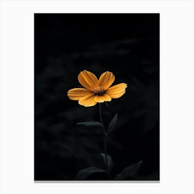 Single Yellow Flower 34 Canvas Print