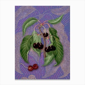 Vintage Hard Fleshed Cherry Botanical Illustration on Veri Peri Canvas Print