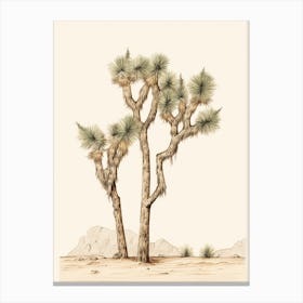  Minimalist Joshua Trees 1 Canvas Print