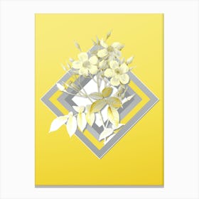 Botanical Musk Rose in Gray and Yellow Gradient n.176 Canvas Print