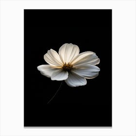 White Flower 12 Canvas Print