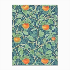 Persimmon 1 Vintage Botanical Fruit Canvas Print