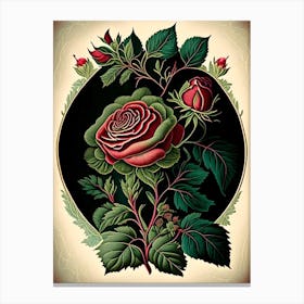Rose Herb Vintage Botanical Canvas Print