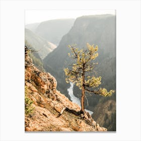 Over The Canyon Canvas Print