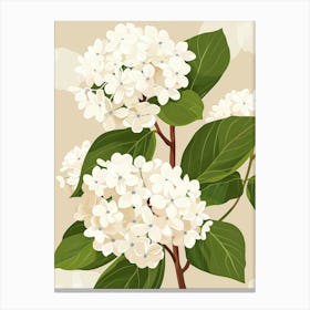 White Hydrangeas On A Branch Canvas Print