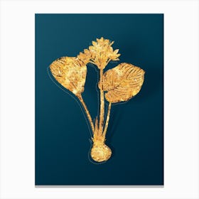 Vintage Cardwell Lily Botanical in Gold on Teal Blue n.0316 Canvas Print