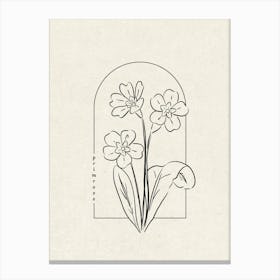 Primrose Flower Canvas Print