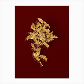Vintage Evergreen Oak Botanical in Gold on Red n.0512 Canvas Print