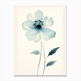 Blue Anemone Flower 1 Canvas Print