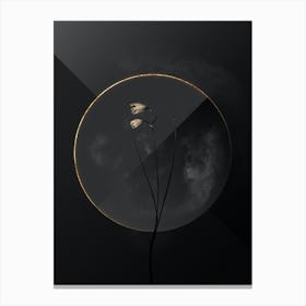 Shadowy Vintage Snowbell Botanical on Black with Gold n.0011 Canvas Print