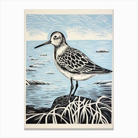 Vintage Bird Linocut Dunlin 2 Canvas Print
