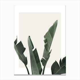 Green Plant Canvas Print
