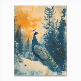 Orange & Blue Peacock In A Snow Scene 4 Canvas Print