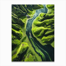 Green Valley Iceland Canvas Print