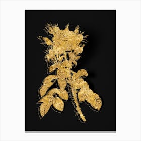 Vintage Lelieur's Four Seasons Rose Botanical in Gold on Black n.0446 Canvas Print