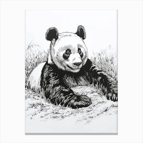 Giant Panda Resting In A Field Ink Illustration 1 Canvas Print