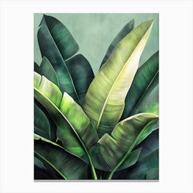 Banana Leaves 5 Canvas Print