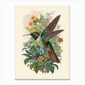 Hummingbird botanical flower beauty 11 Canvas Print