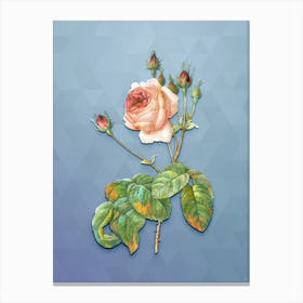Vintage Cabbage Rose Botanical Art on Summer Song Blue n.1412 Canvas Print