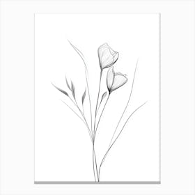 Lily Of The Valley 4 Canvas Print