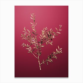 Gold Botanical Myrtle Dahoon Branch on Viva Magenta n.3182 Canvas Print
