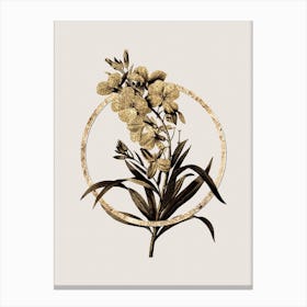 Gold Ring Cheiranthus Flower Glitter Botanical Illustration n.0066 Canvas Print