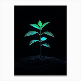 Glow In The Dark Plant Canvas Print