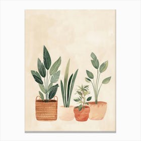 Potted Plants 6 Canvas Print