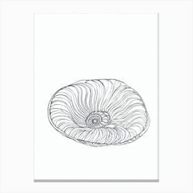 Ammonites Black & White Drawing Canvas Print