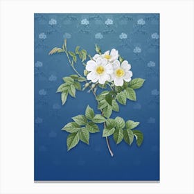 Vintage White Rosebush Botanical on Bahama Blue Pattern n.0476 Canvas Print