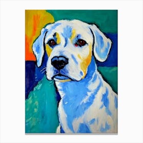 Maltese Fauvist Style dog Canvas Print