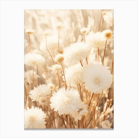 Boho Dried Flowers Chrysanthemum 1 Canvas Print