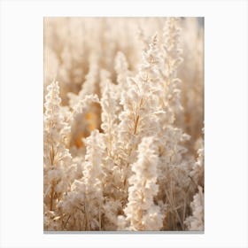 Boho Dried Flowers Lobelia 1 Canvas Print