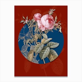 Vintage Botanical Pink Cabbage Rose de Mai on Circle Blue on Red n.0192 Canvas Print