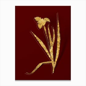 Vintage Tiger Flower Botanical in Gold on Red Canvas Print