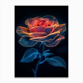 Flora Rose Canvas Print